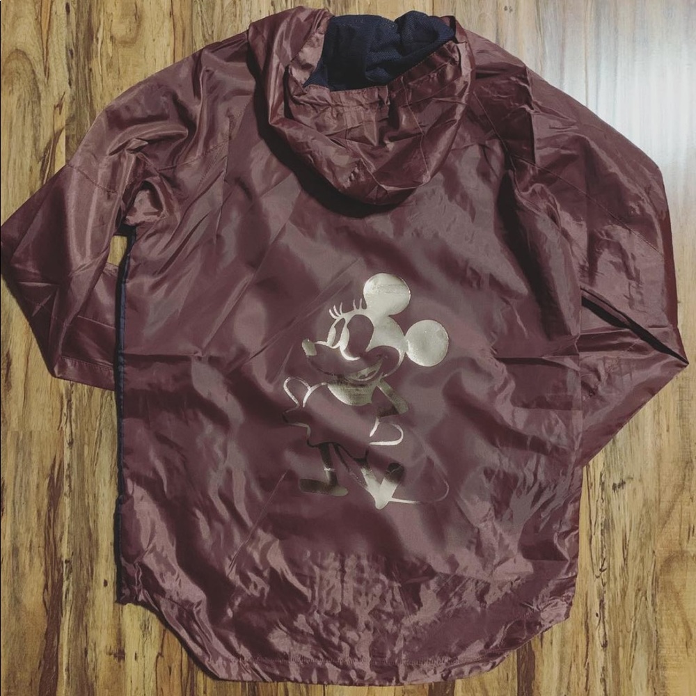 Disney Winderbreaker